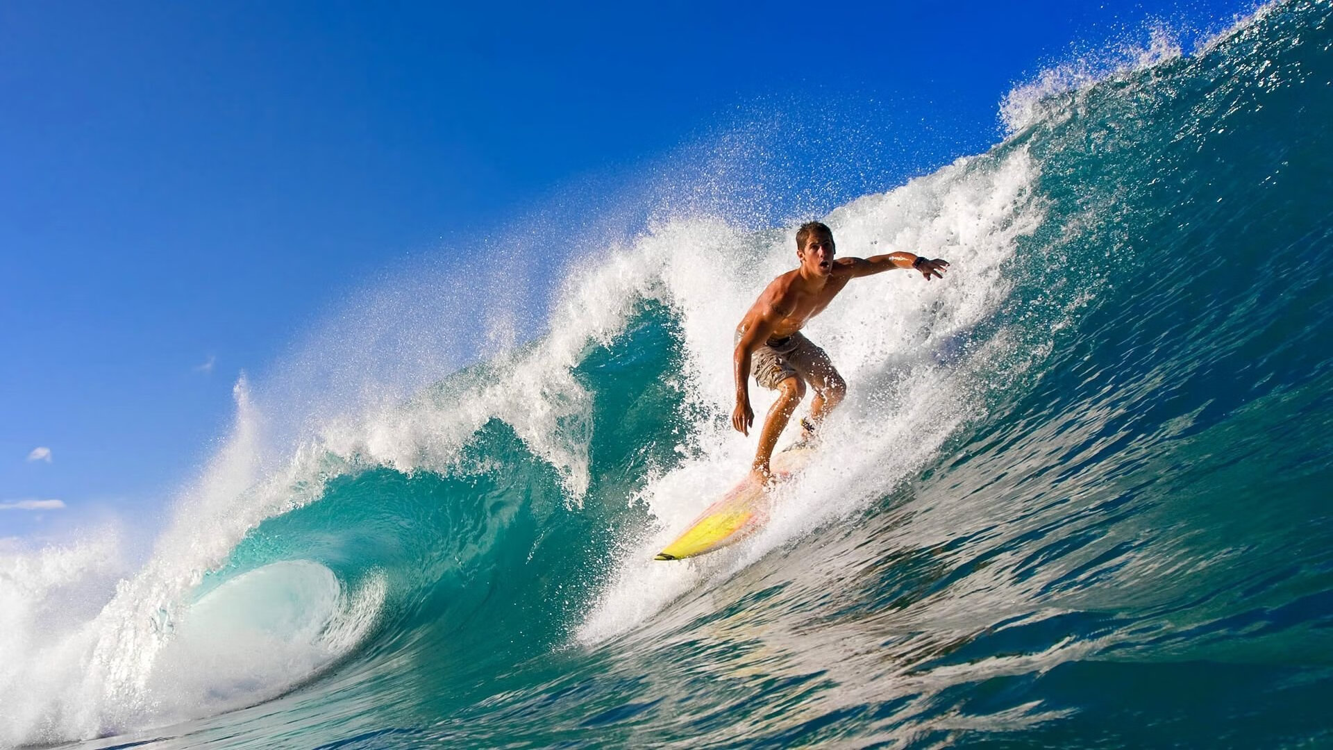 2026年亚洲赛艇城市对抗赛 上海艇队力压日韩劲旅夺冠